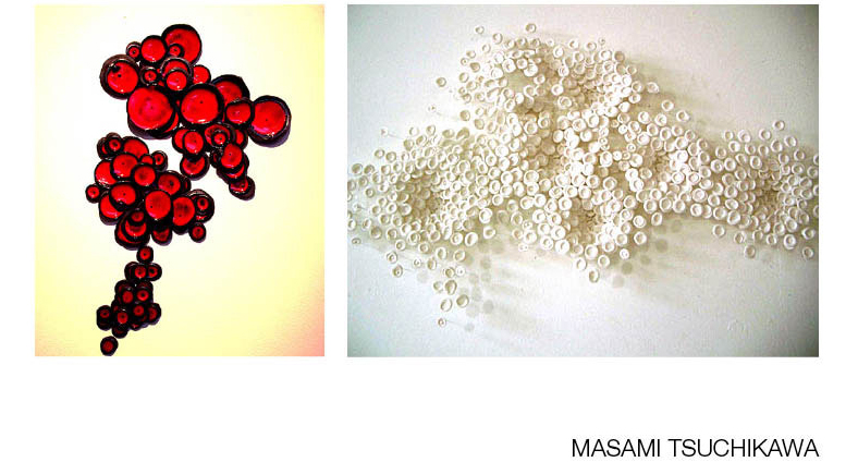 masami